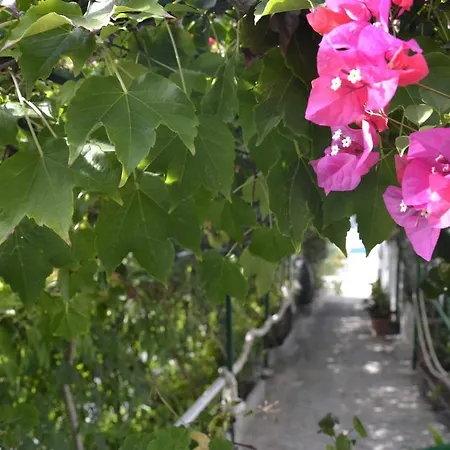 La Scogliera Parghelia